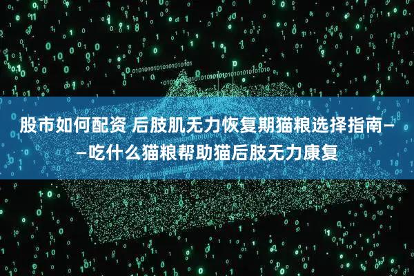股市如何配资 后肢肌无力恢复期猫粮选择指南——吃什么猫粮帮助猫后肢无力康复